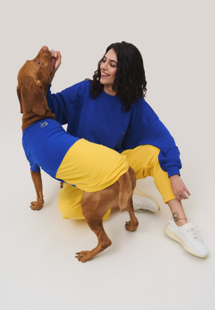 Футболка «прапор» для середніх та великих тварин